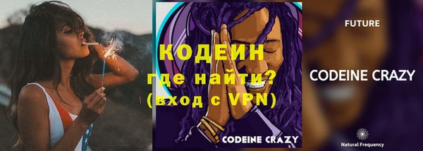 крисы Абаза