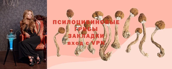 крисы Абаза