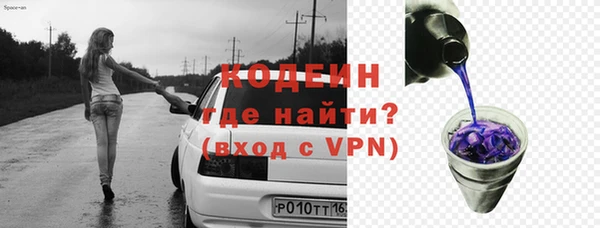 индика Нягань
