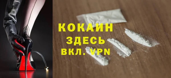 крисы Абаза