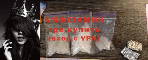крисы Абаза