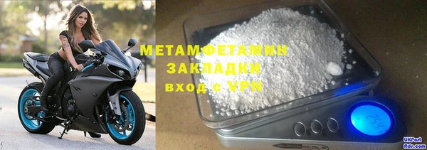 индика Нягань