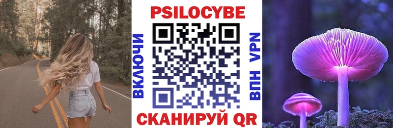 цена наркотик Мосальск Псилоцибиновые грибы Cubensis